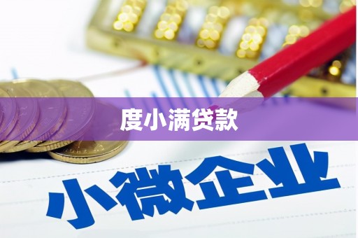 江津度小满贷款