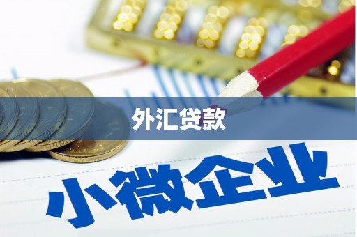 江津外汇贷款