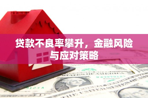 江津贷款不良率攀升，金融风险与应对策略