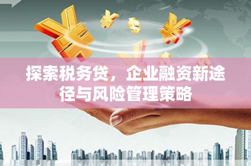 江津探索税务贷，企业融资新途径与风险管理策略