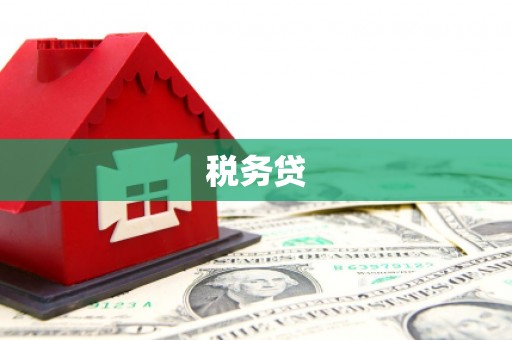江津税务贷