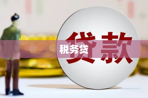 江津税务贷