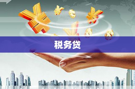 江津税务贷