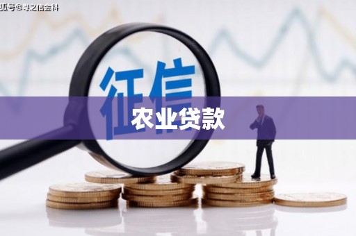 江津农业贷款