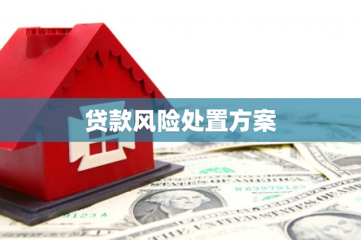 江津贷款风险处置方案
