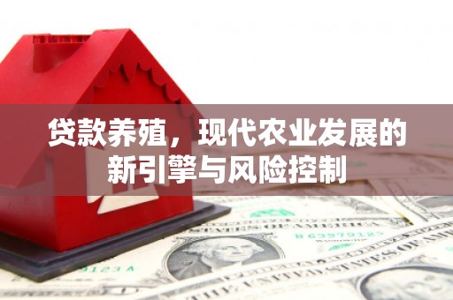 江津贷款养殖，现代农业发展的新引擎与风险控制