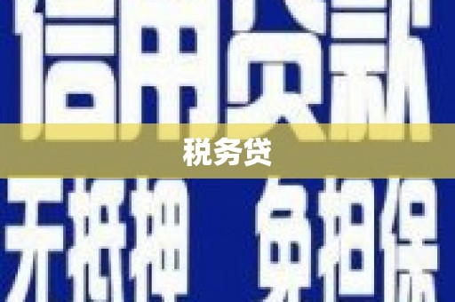 江津税务贷