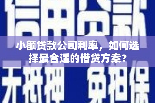 江津小额贷款公司利率，如何选择最合适的借贷方案？