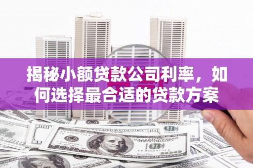 江津揭秘小额贷款公司利率，如何选择最合适的贷款方案