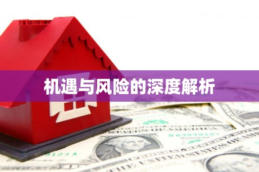 江津机遇与风险的深度解析