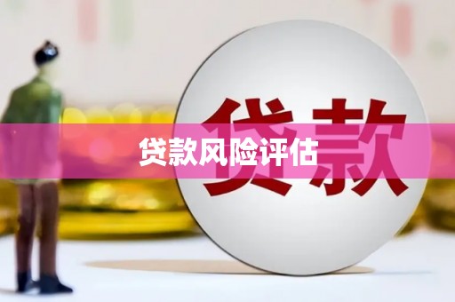 江津贷款风险评估
