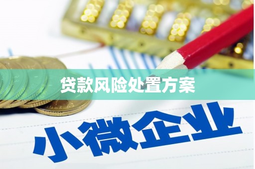 江津贷款风险处置方案