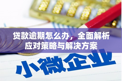 江津贷款逾期怎么办，全面解析应对策略与解决方案